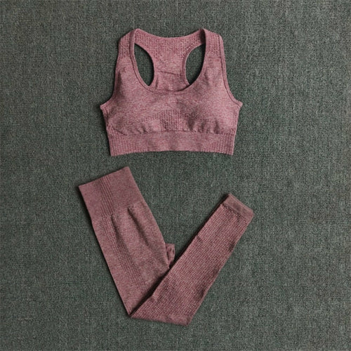 Womens velocity seamless gym/running set